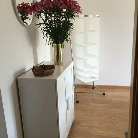 La Rosa De O *
